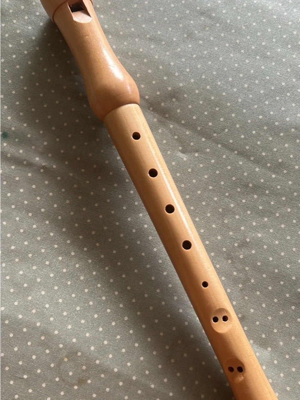 Source Unknown Natural Wood Recorder in Light Brown - Picture 1 of 1